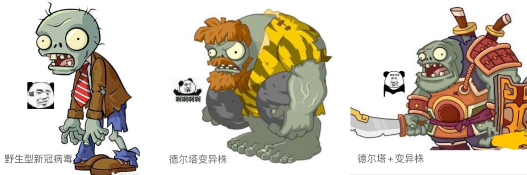 (用植物大战僵尸打个比方/图源网络,侵删)不过,虽然德尔塔变异毒株跟
