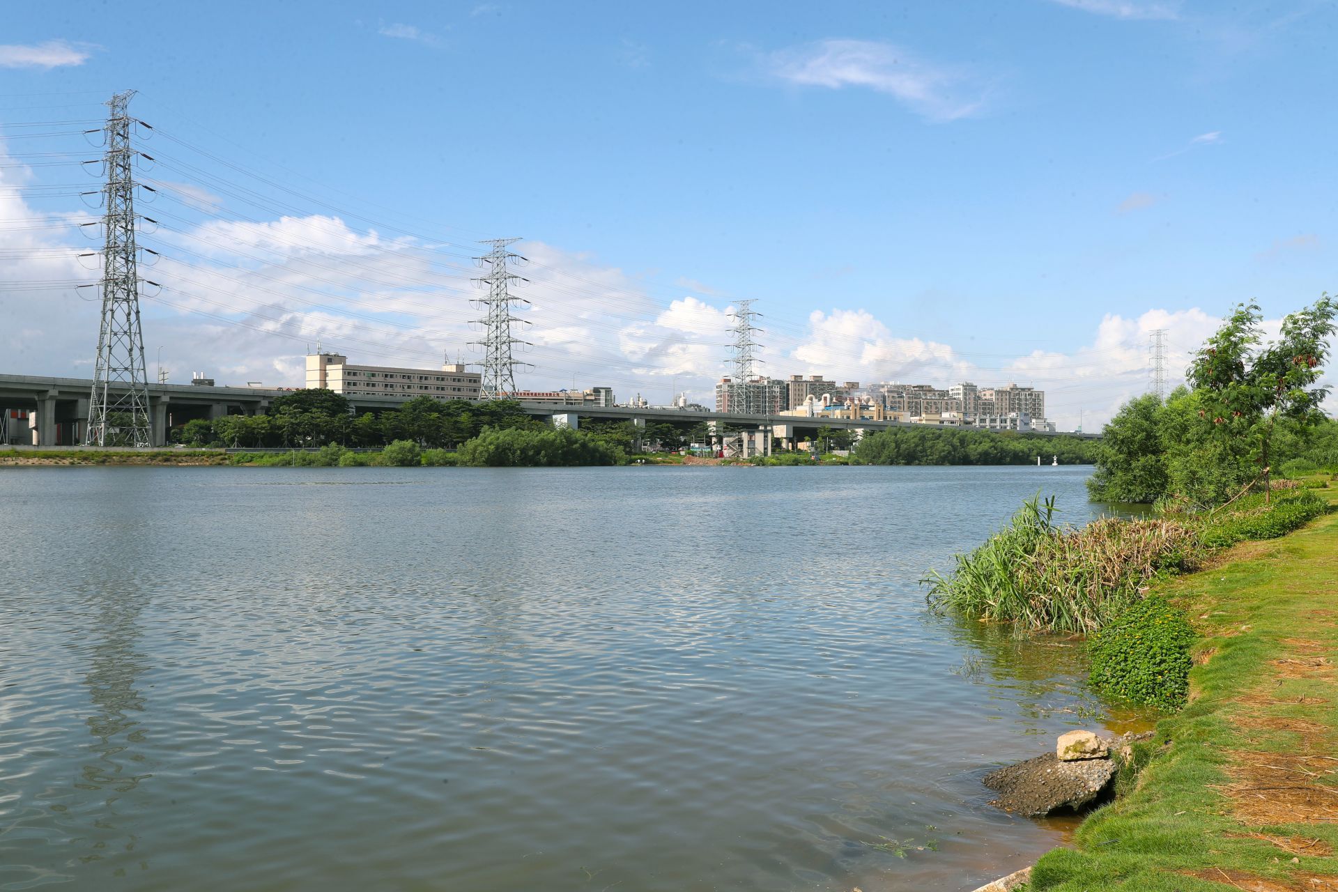 东莞市长安镇举行"休渔放生节",9万尾鱼苗在茅洲河安家