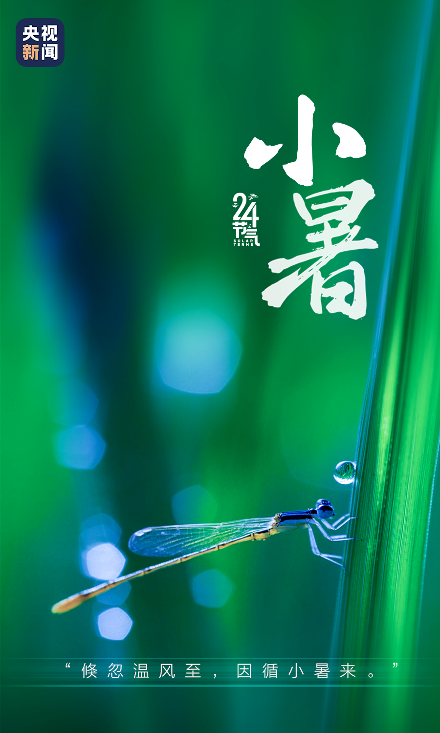 今日小暑!入伏倒计时!