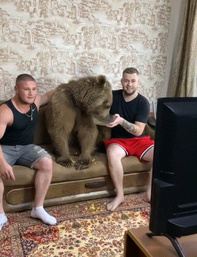 这就是中国男足的希望？（685期）休闲区蓝鸢梦想 - Www.slyday.coM