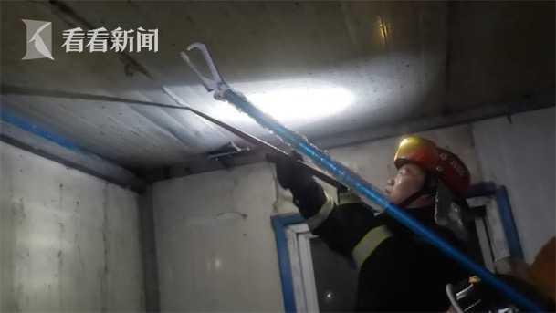 大蛇藏身墙缝，消防员出手“拔”蛇发现它怀孕了休闲区蓝鸢梦想 - Www.slyday.coM