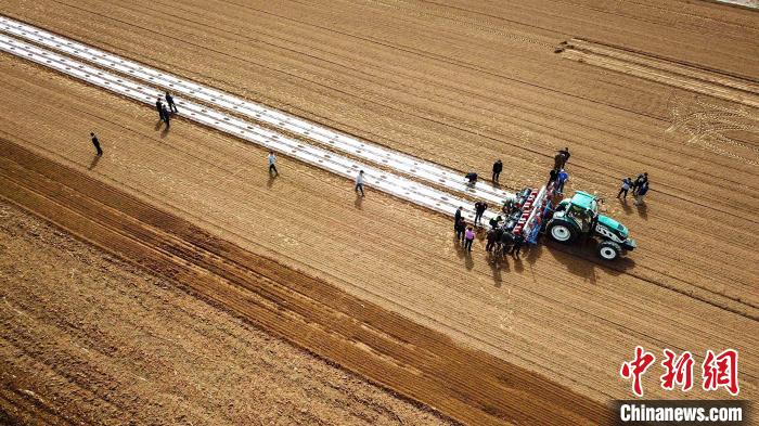 山东“供销社给农民打工”模式频升级 助推农业现代化发展