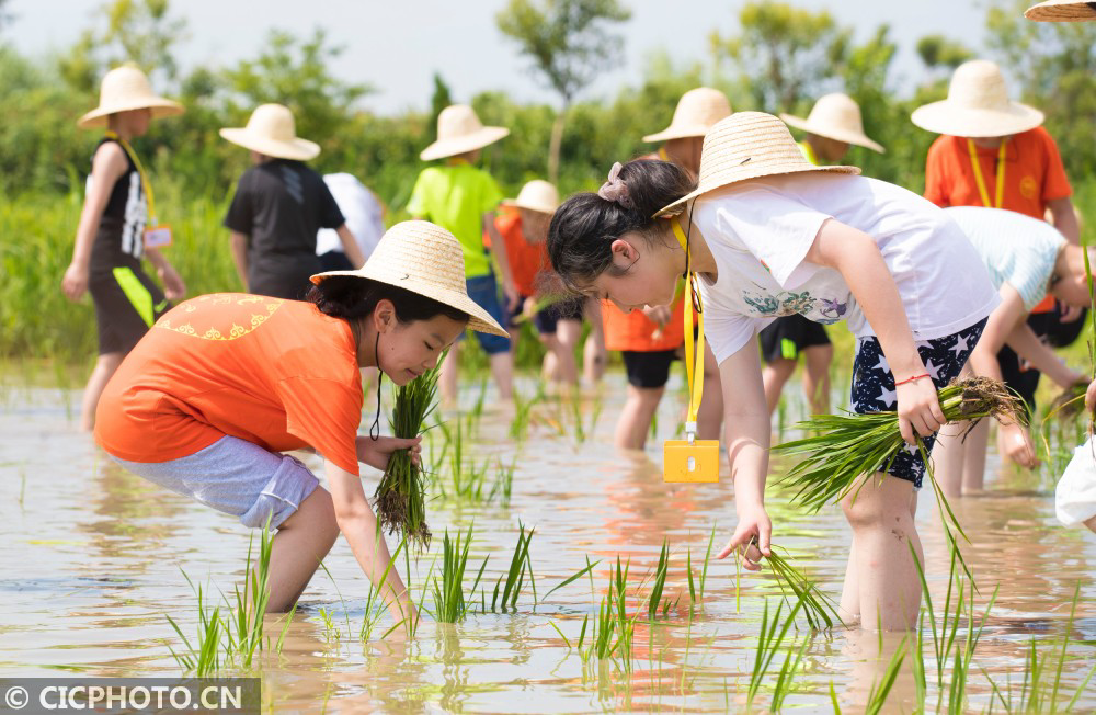 智慧农业如何种田