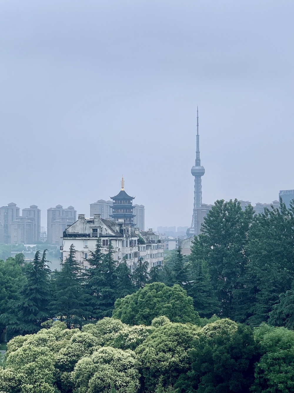 远眺泰州城市风景本文图片除特别注明外均为澎湃新闻记者王昱摄/翻拍