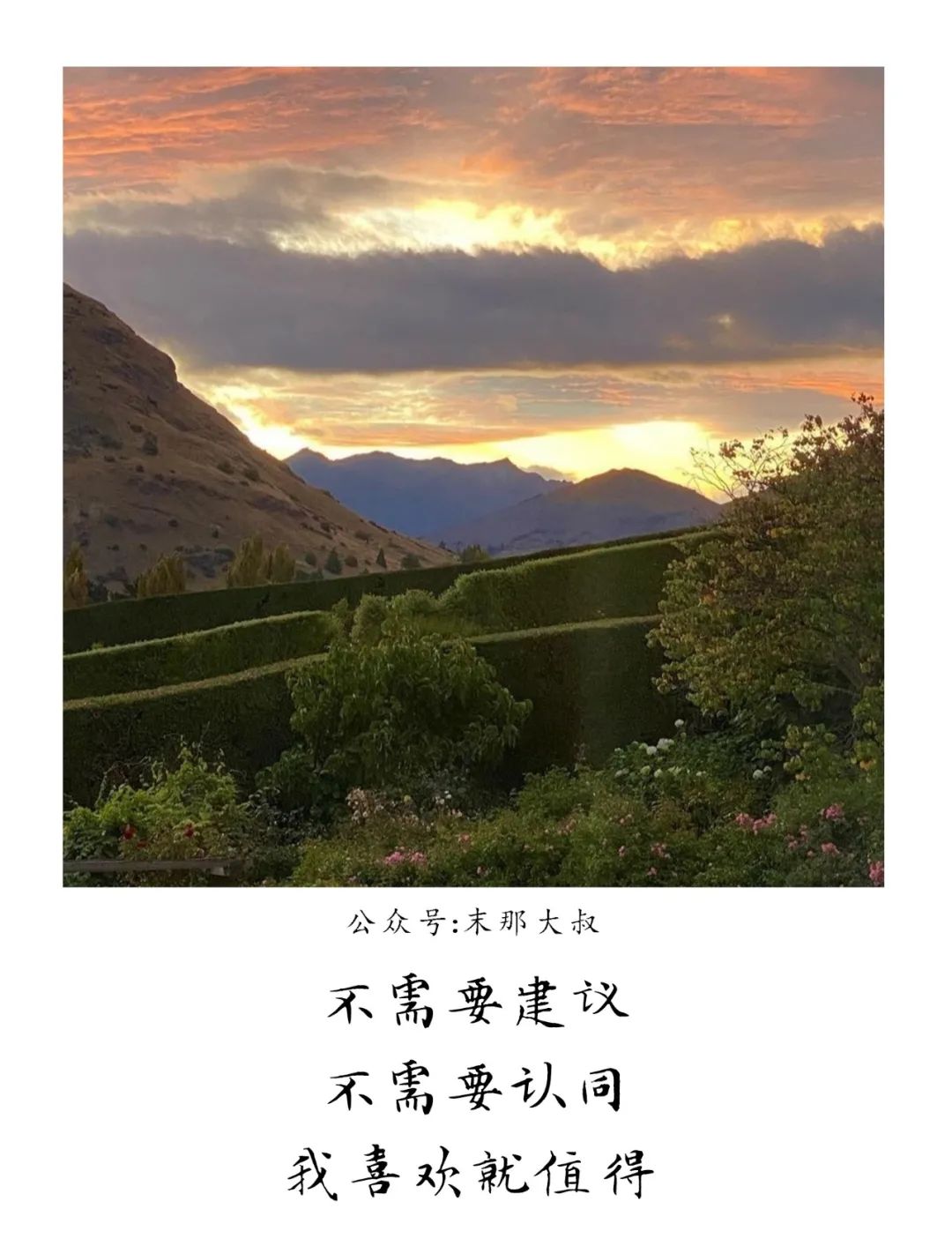 "别回头,跟着光"