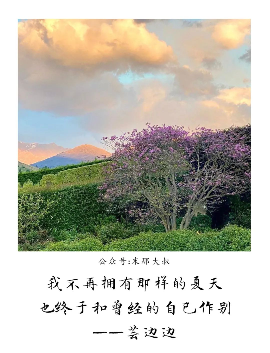 "别回头,跟着光"