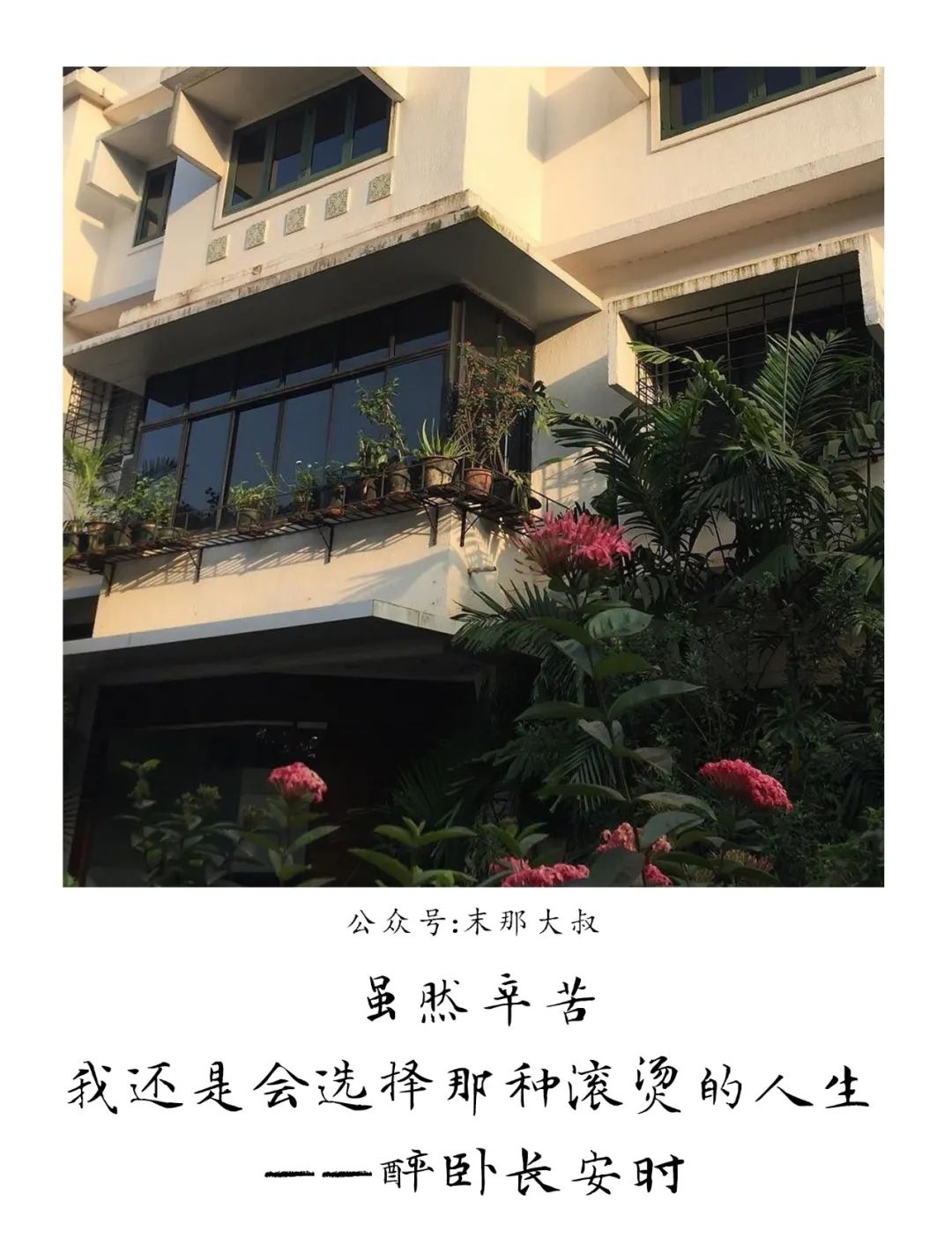"别回头,跟着光"