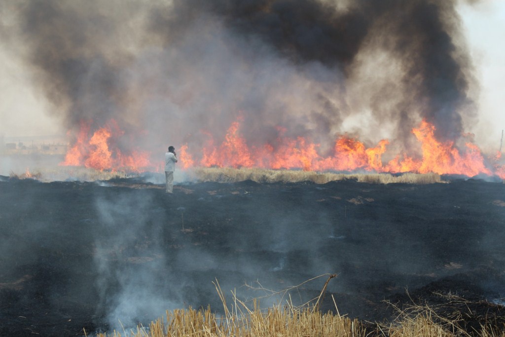 Grain fields were burned down (data map / Haval News Agency)