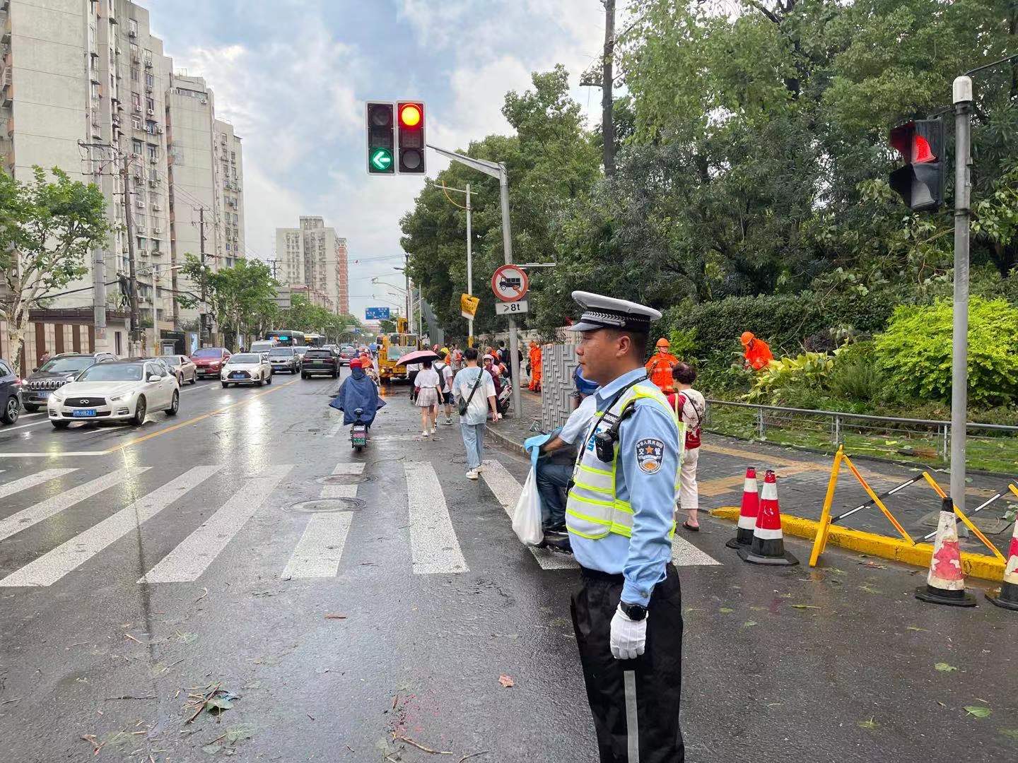 暴雨大风刮倒大树“殃及”红绿灯，上海警方紧急救援