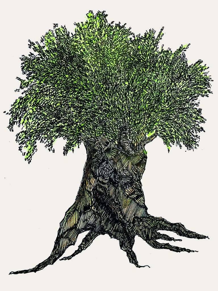 夏日里,看"树,树"|上海当代艺术博物馆|艺术家_新浪新闻