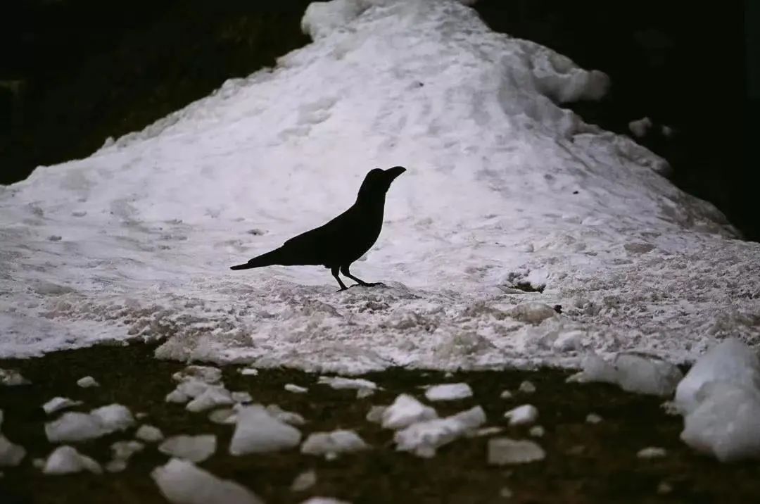 那个歌手——伍佰,也是位摄影师!__财经头条