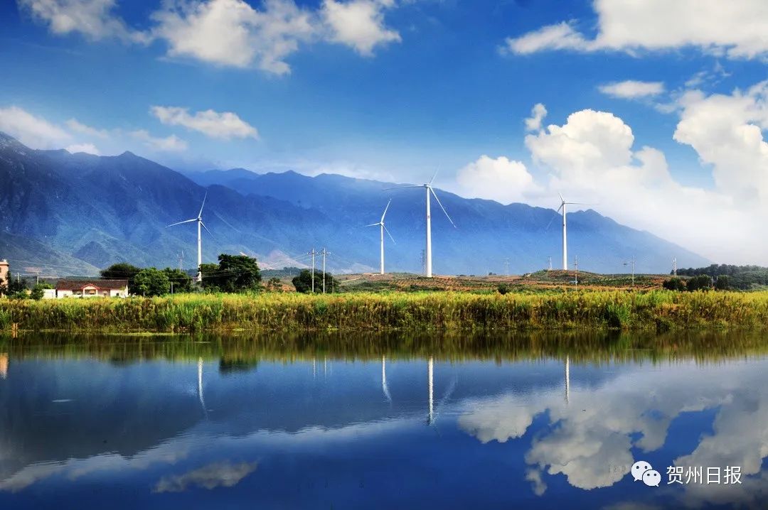 在富川龟石水库国家湿地公园旁,一座座风力发电机迎风转动,形成了一道