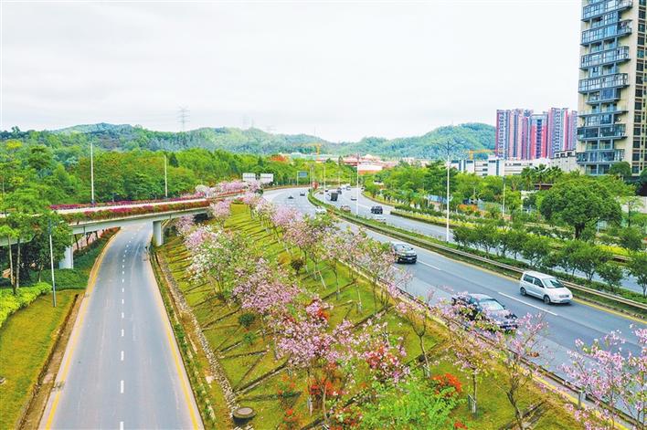 盐龙大道花景大道.