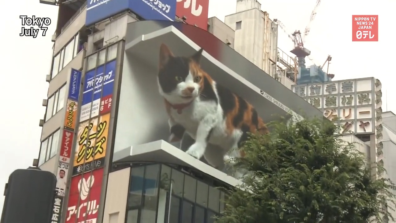 裸眼3d又立功了日本东京新宿街头现巨大3d猫咪