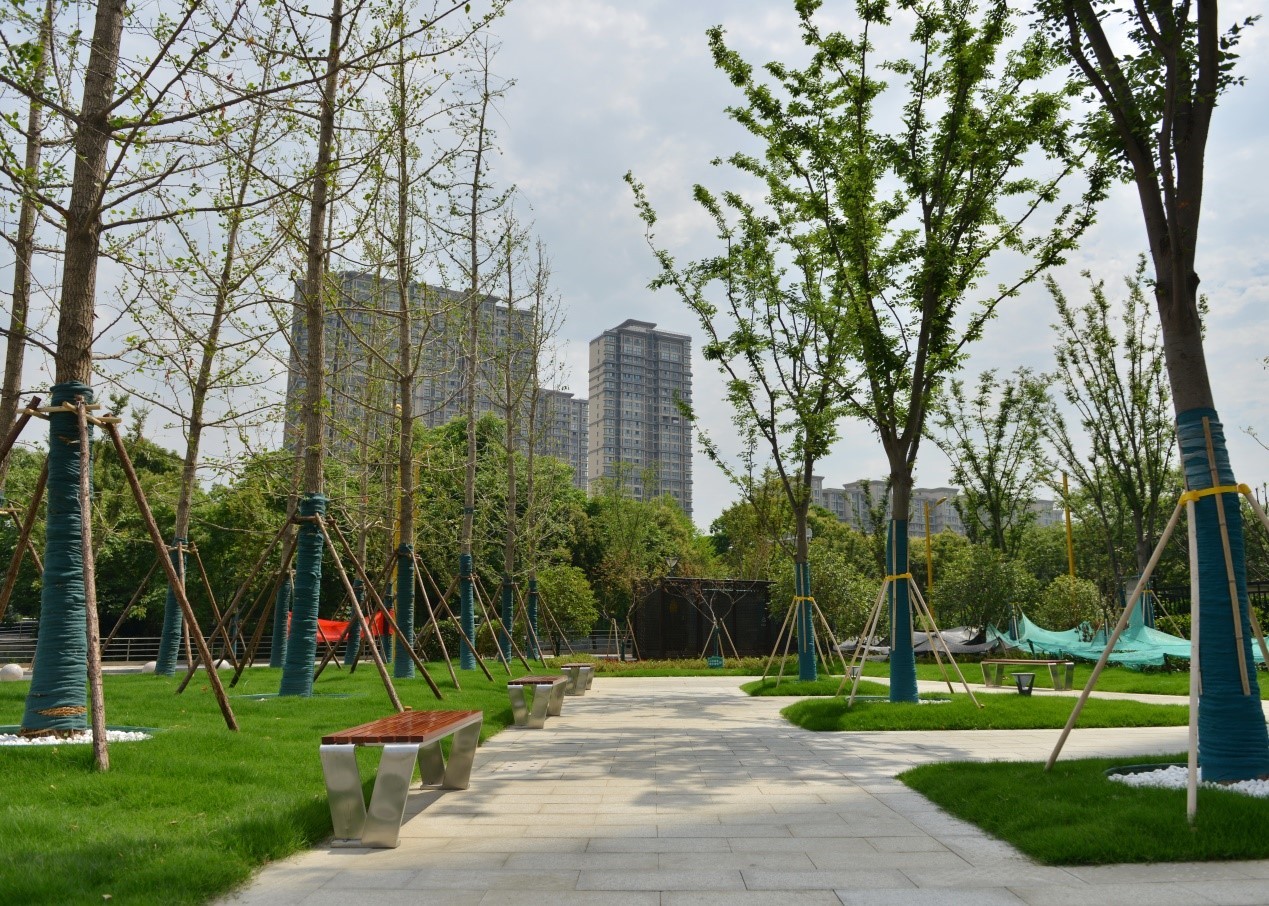 南京六合打造百姓身边微公园让城市绿地更便民惠民