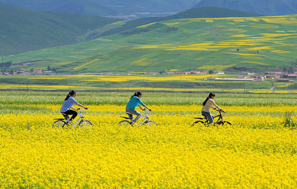 夏季骑车,这些细节要留神|非机动车_新浪新闻