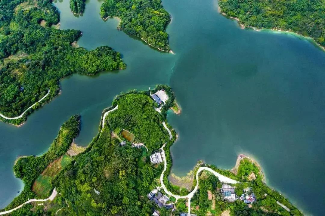 位于重庆市南岸区境内的迎龙湖国家湿地公园.张坤琨 摄