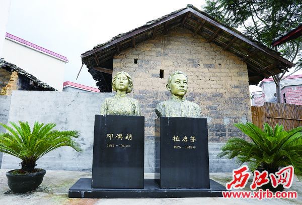 肇庆怀集烈士植启芬、邓偶娟:另一场“刑场上的婚礼”|肇庆市|革命烈士|永固|怀集县|武工队_新浪新闻