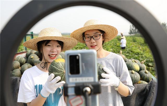 直播走上田间地头 临沂学子暑期直播助农