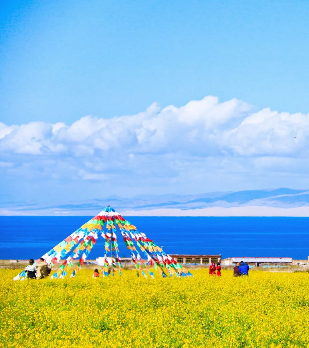 青海湟水河谷,藏着什么大宝贝?