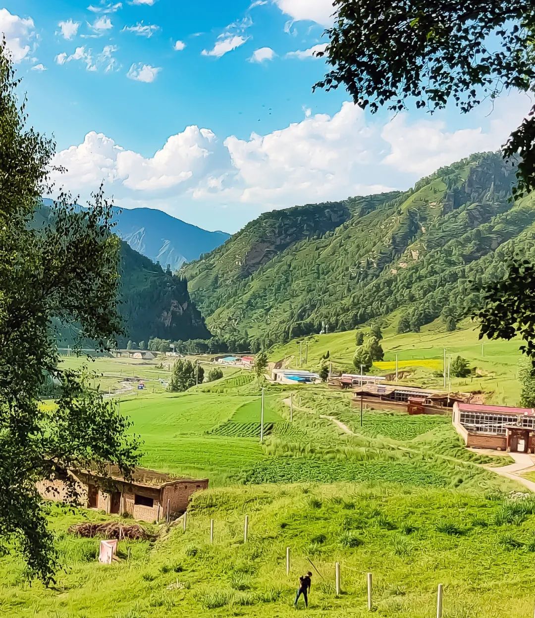 青海湟水河谷藏着什么大宝贝