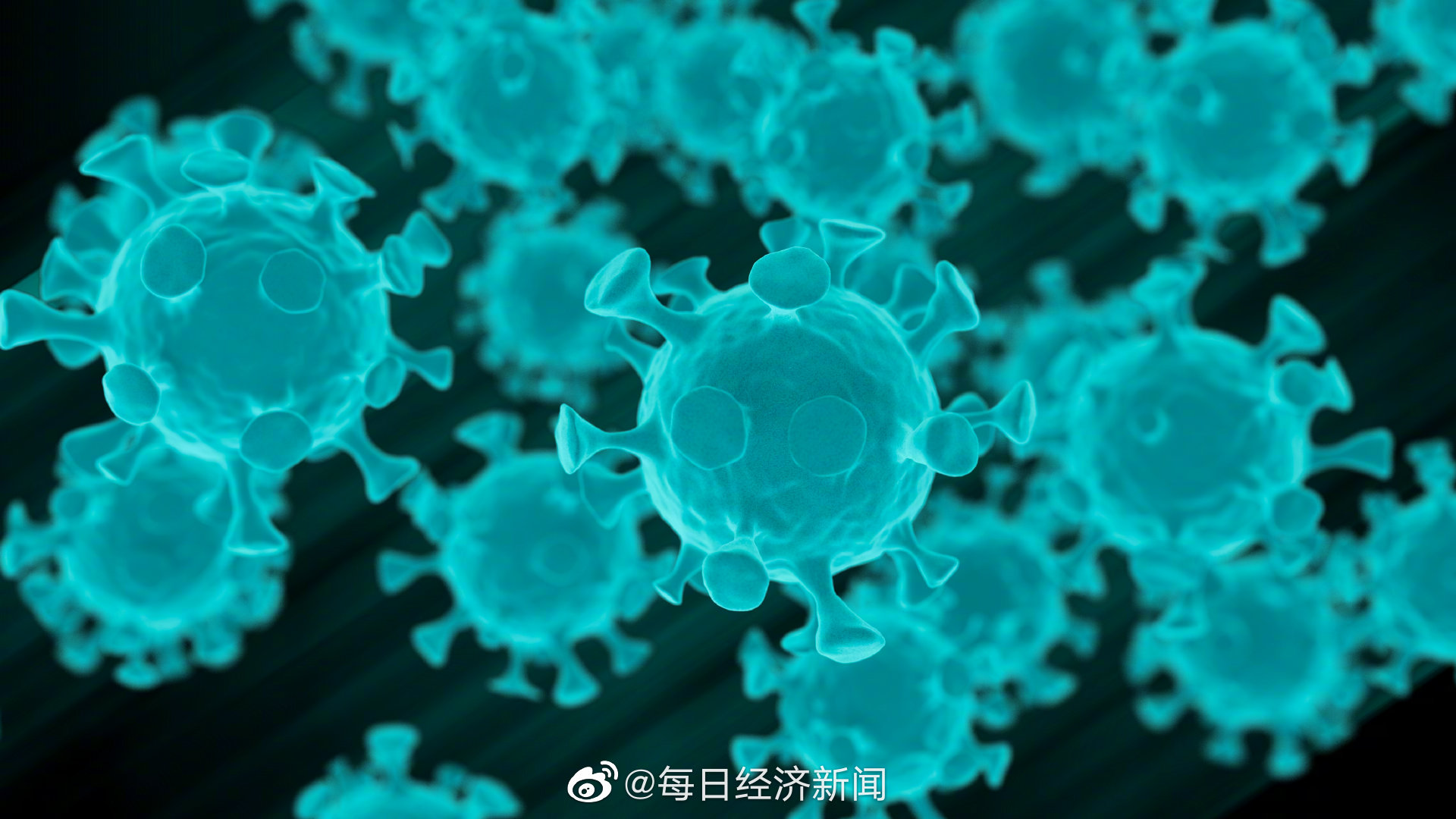 宁波本轮疫情为德尔塔AY.57进化分支休闲区蓝鸢梦想 - Www.slyday.coM