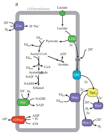 小学数学闯关游戏名称