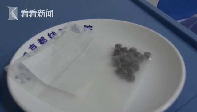 妻子怀孕丈夫陪吃营养餐 双双“补”出胆结石...休闲区蓝鸢梦想 - Www.slyday.coM