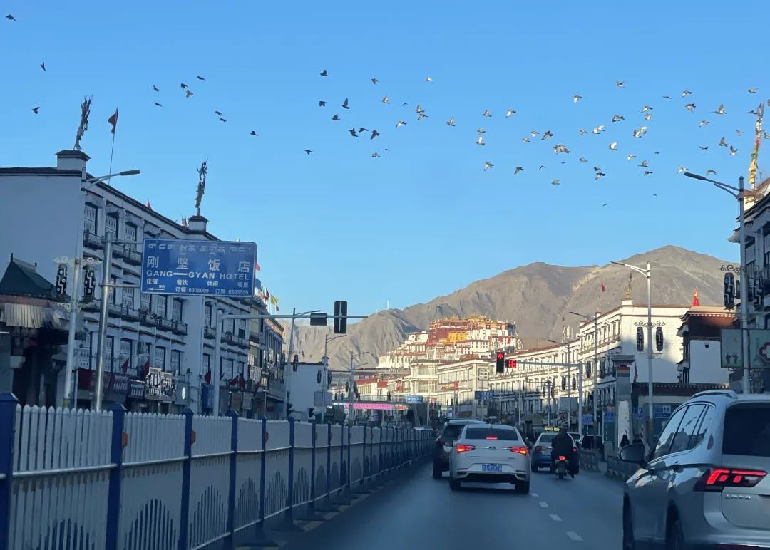 2022年1月1日，拉萨街景。新华网 旦增努布 摄