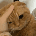 最新回应！北京某小学老师带头霸凌小女孩，当众指责：“讨厌！去滚！”休闲区蓝鸢梦想 - Www.slyday.coM