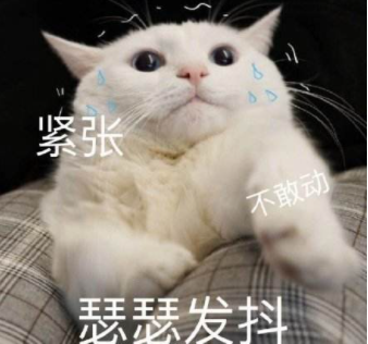 最新回应！北京某小学老师带头霸凌小女孩，当众指责：“讨厌！去滚！”休闲区蓝鸢梦想 - Www.slyday.coM