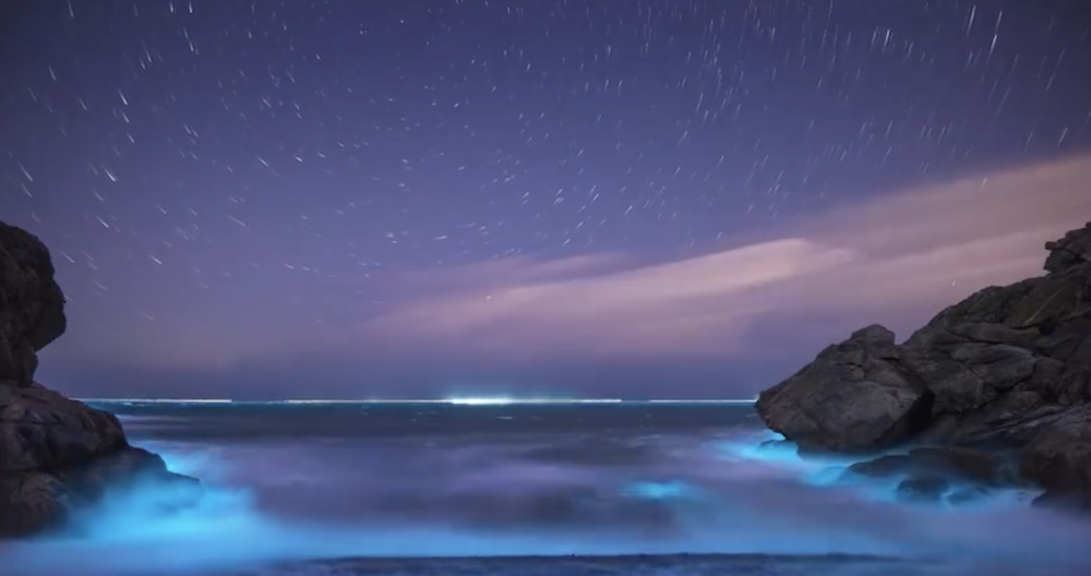 中上演了绝美一幕,无数个微小,会发光的浮游生物随着一波一波海浪翻滚