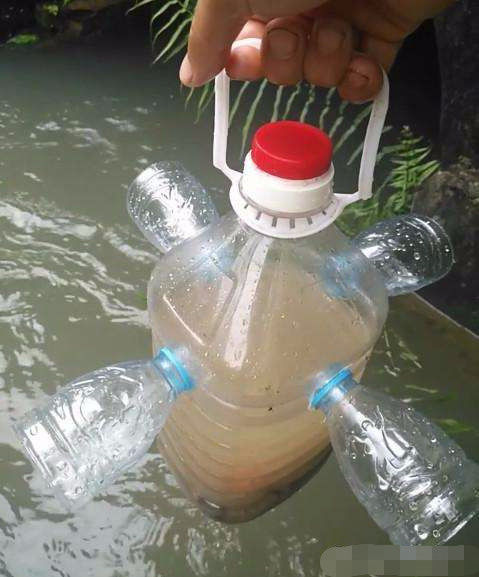 自制抓鱼神器塑料瓶图片