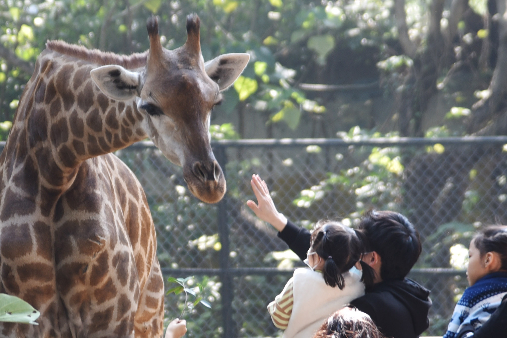 深圳野生动物园小动物萌态十足受游客喜爱