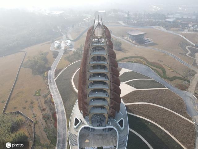 43只大熊猫新年住新家成都熊猫基地扩建区开园