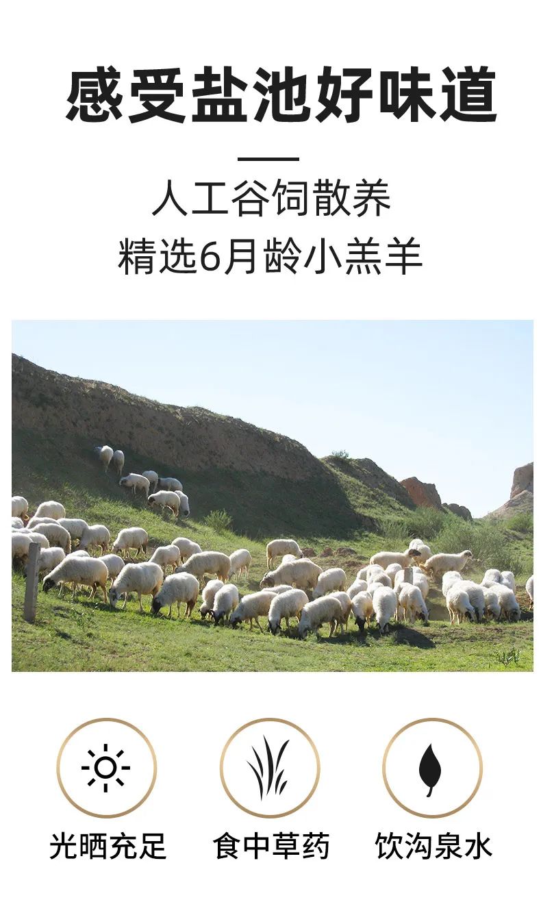 国宴级宁夏盐池滩羊现宰鲜肉软嫩带奶香