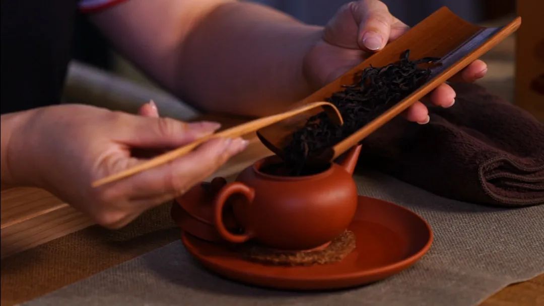 民间流传,凤凰鸟曾为南宋帝昺衔茶解渴,后人因此而称它为"宋种".