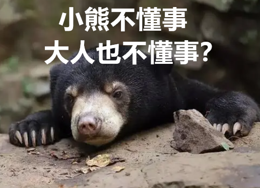 太过分！上海动物园马来熊被游客投喂喜茶？休闲区蓝鸢梦想 - Www.slyday.coM