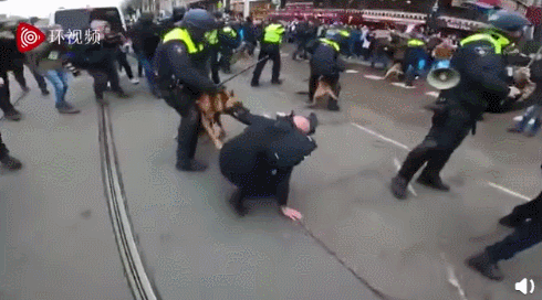 荷兰首都爆发反封锁抗议荷兰警察放狗撕咬反防疫抗议者休闲区蓝鸢梦想 - Www.slyday.coM