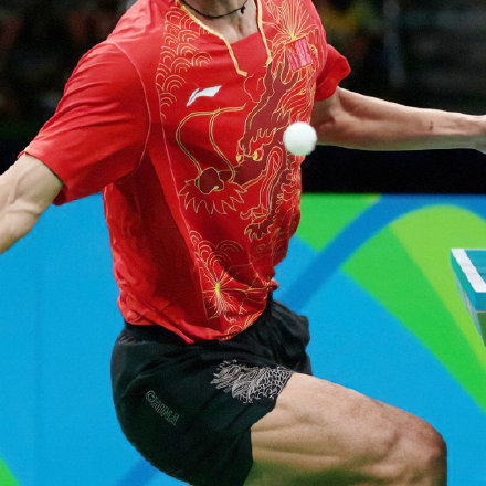 哈哈哈哈,诞总这句不赌谁输谁赢……|张继科|广智_新浪新闻