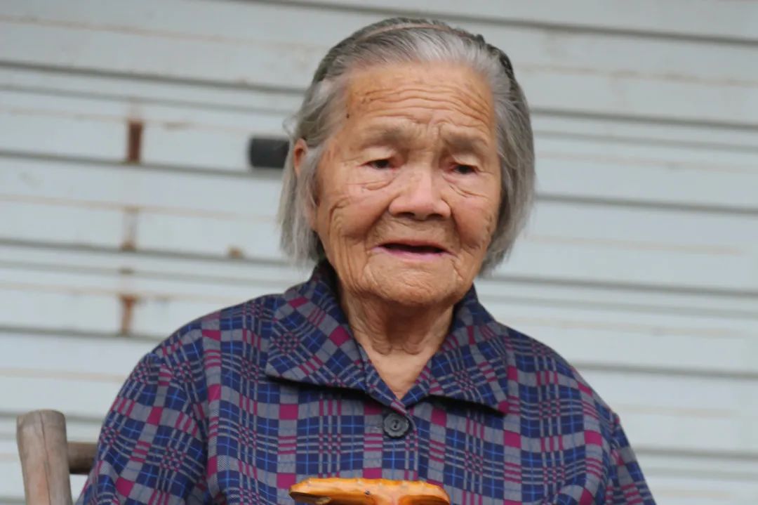 朱土火100岁,朱月仙104岁新建镇百岁老人陈巧妹100岁,陈赛玉101岁,丁