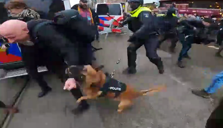 西方重要国家首都爆发抗议，警察放狗……