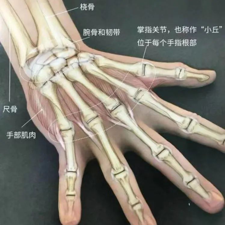 快进来自查你的手腕这种类型想痩背瘦腰比登天还难