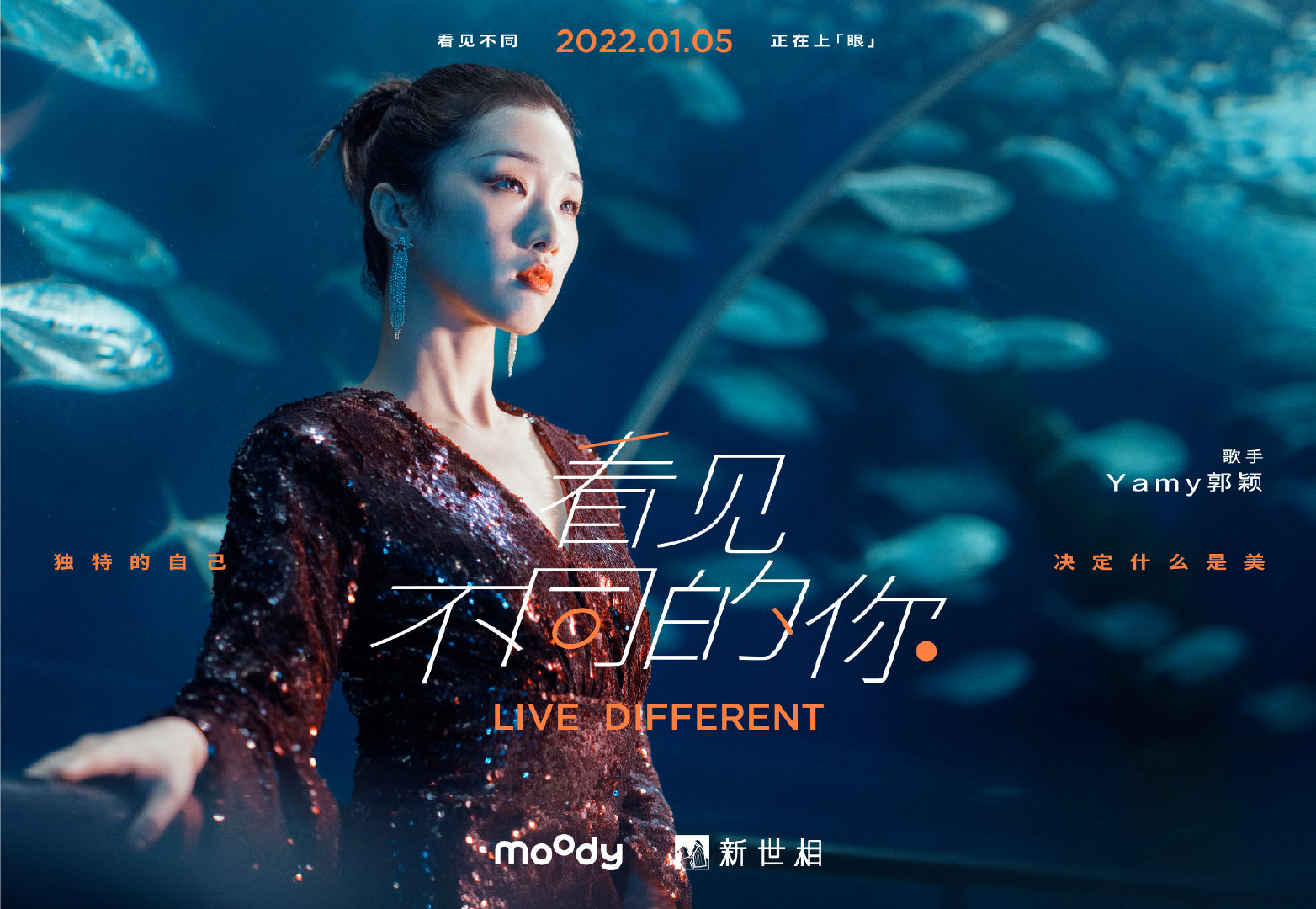 小时候的我们总把梦想挂在嘴边：搞发明……休闲区蓝鸢梦想 - Www.slyday.coM