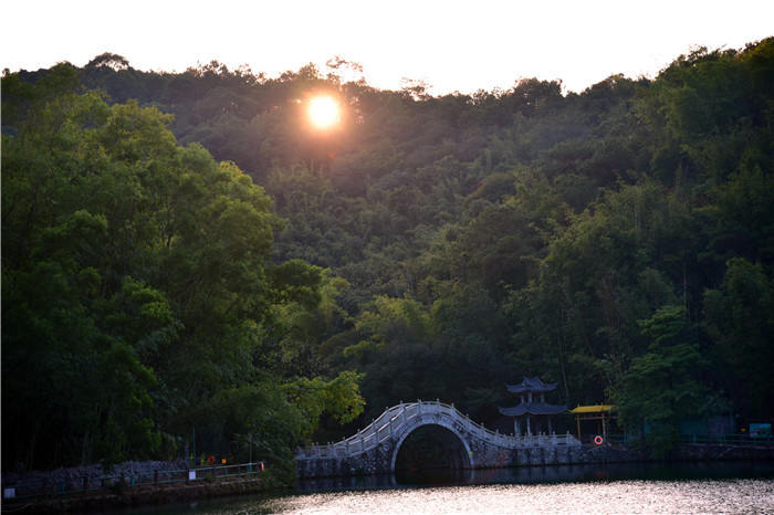 广东肇庆宝锭山拥有竹林含丹奇观比美鼎湖卧佛含丹