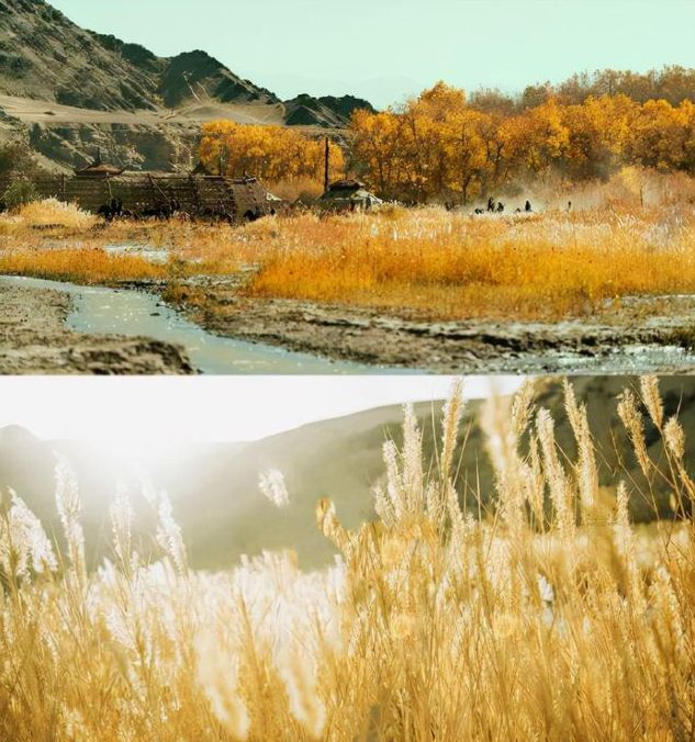 网传东宫后彭小苒再度与李木戈导演二搭男主人选引热议