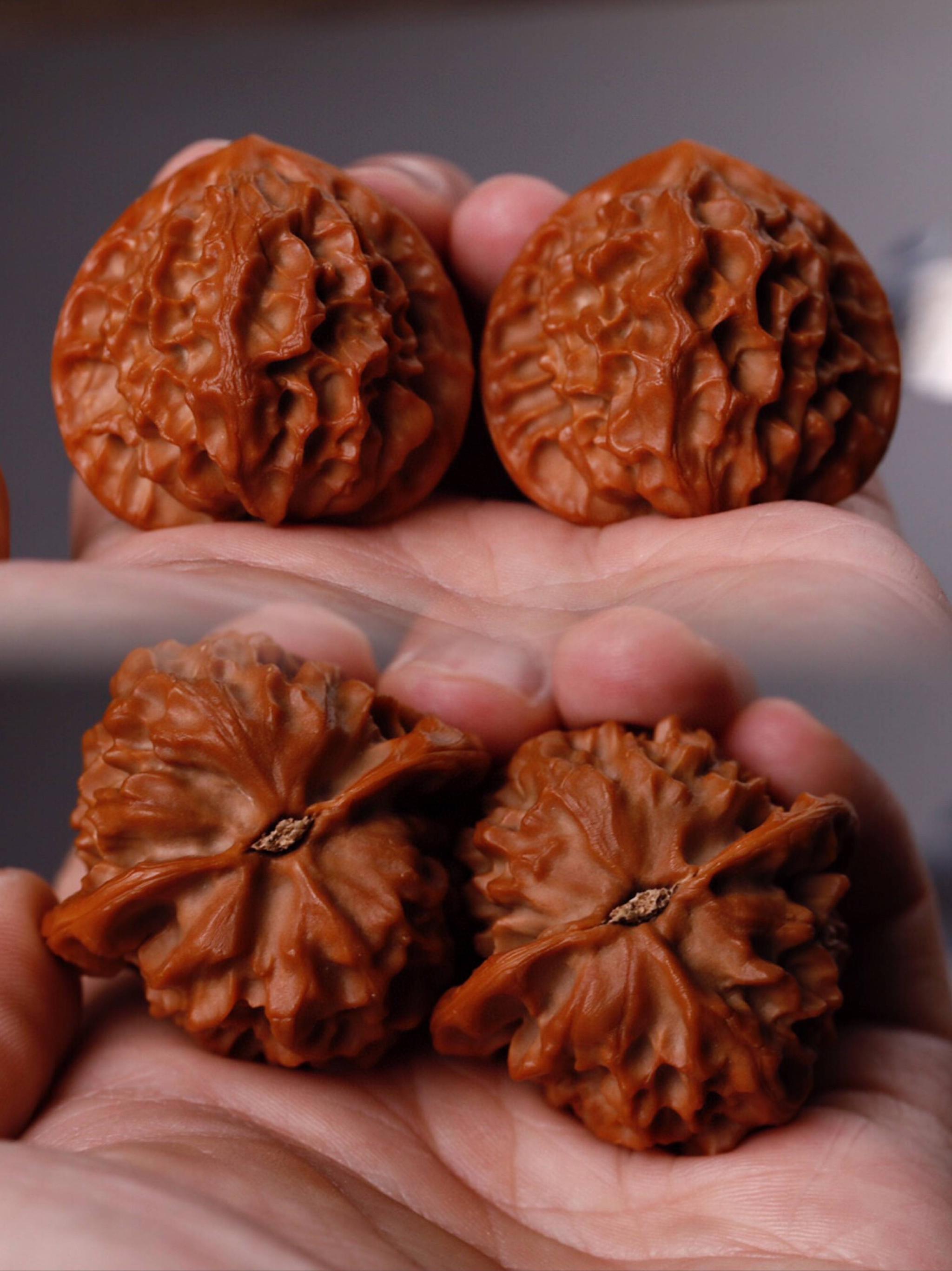 没遇见喜欢的文玩核桃?了解一下野生小众吧__财经头条