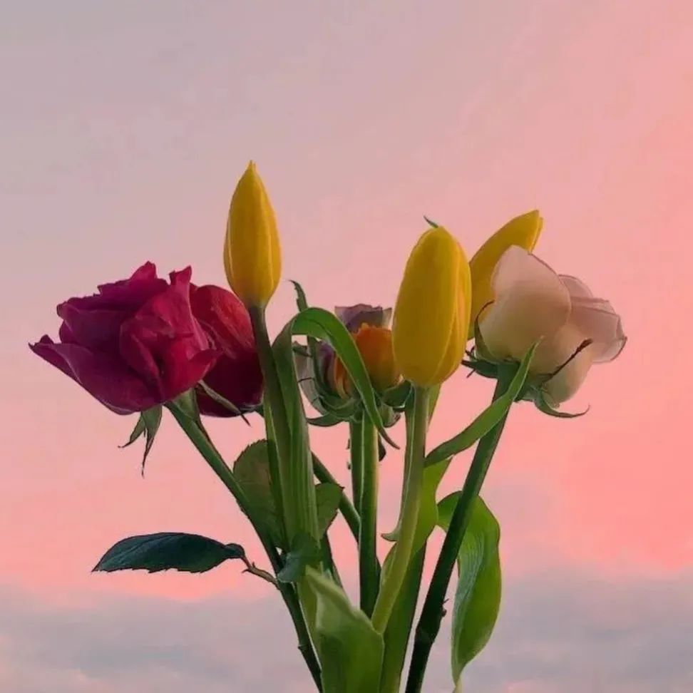 微信头像这样拍好看不撞款