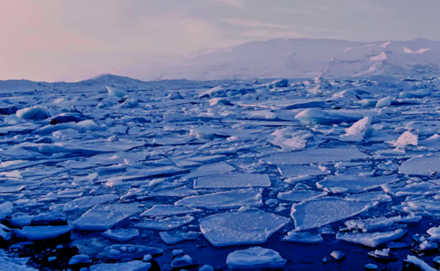 专访瑞典皇家科学院院士陈德亮今年我们将面对怎样的气候环境