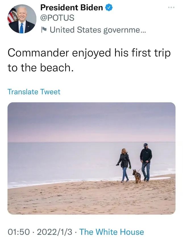 年近八旬老人晒和妻子在海边遛狗照，美国人为什么不高兴？